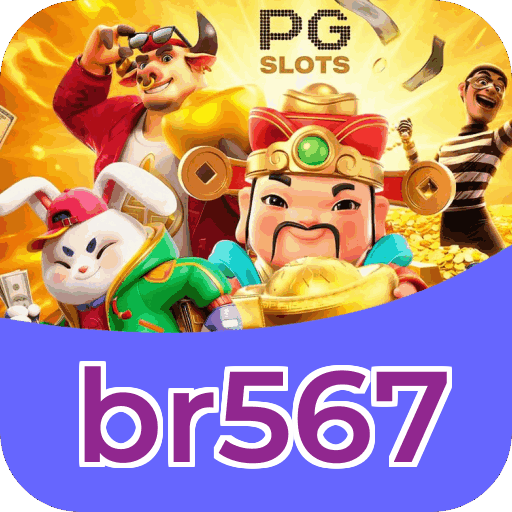 Interface br567